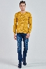 Picture of Giovane G. Designers Tricot