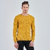 Picture of Giovane G. Designers Tricot