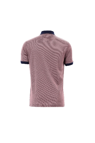 Picture of Giovane Gentile T-Shirt