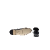 Picture of Giovane Gentile Shoes