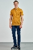 Picture of Giovane Gentile T-shirt