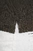 Picture of Giovane G. Designers T-shirt