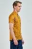 Picture of Giovane Gentile T-shirt
