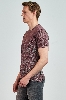 Picture of Giovane Gentile T-shirt