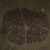 Picture of Giovane Gentile T-shirt