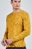 Picture of Giovane G. Designers Tricot